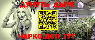 дмт Будённовск