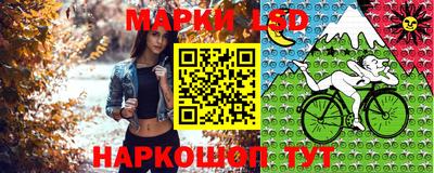 дмт Будённовск
