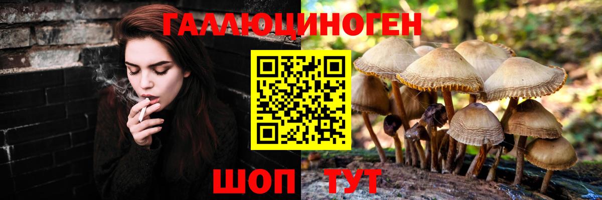 Псилоцибиновые грибы Psilocybine cubensis  Вход с VPN  что такое наркотик  Псилоцибиновые грибы MAGIC MUSHROOMS  Тайшет 