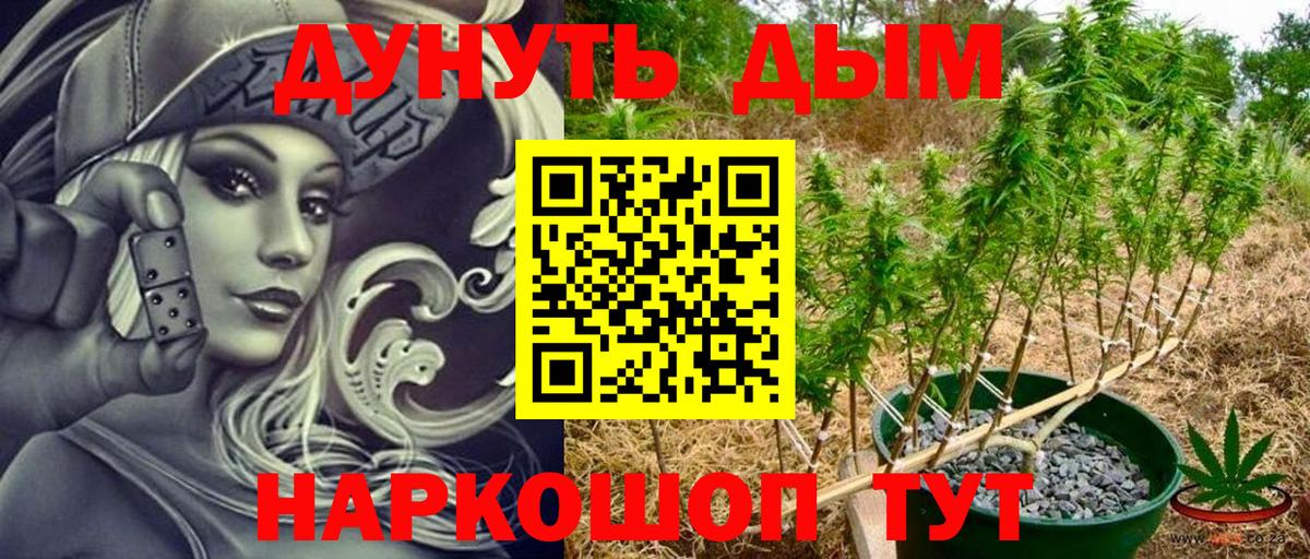 Конопля марихуана  Марихуана конопля  Тайшет  Вход с VPN  Бошки Шишки сатива 